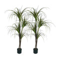Artificial Dracaena Plant Twin Pack 150cm