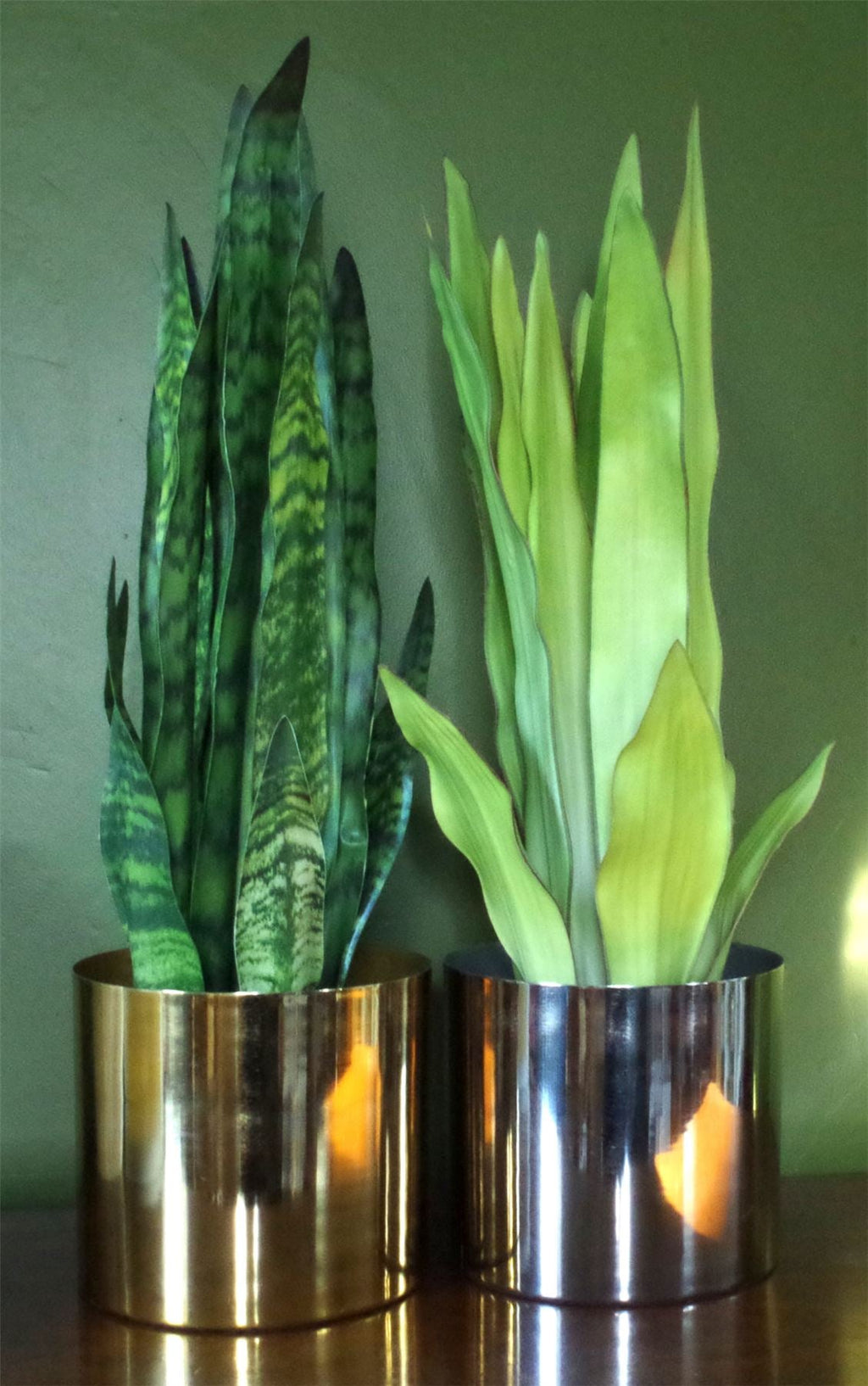 Artificial Sansevieria Snake Plant 70cm