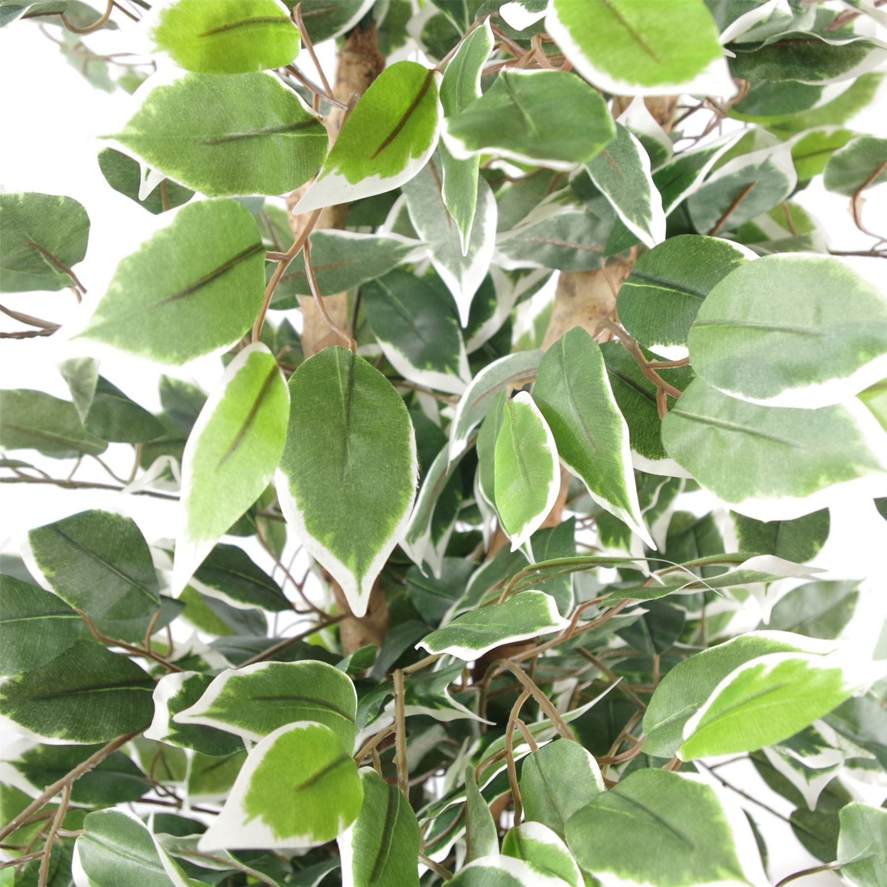 Artificial Ficus Tree Plant White Edge Bushy 130cm Plants Leaf Copper Metal Planter