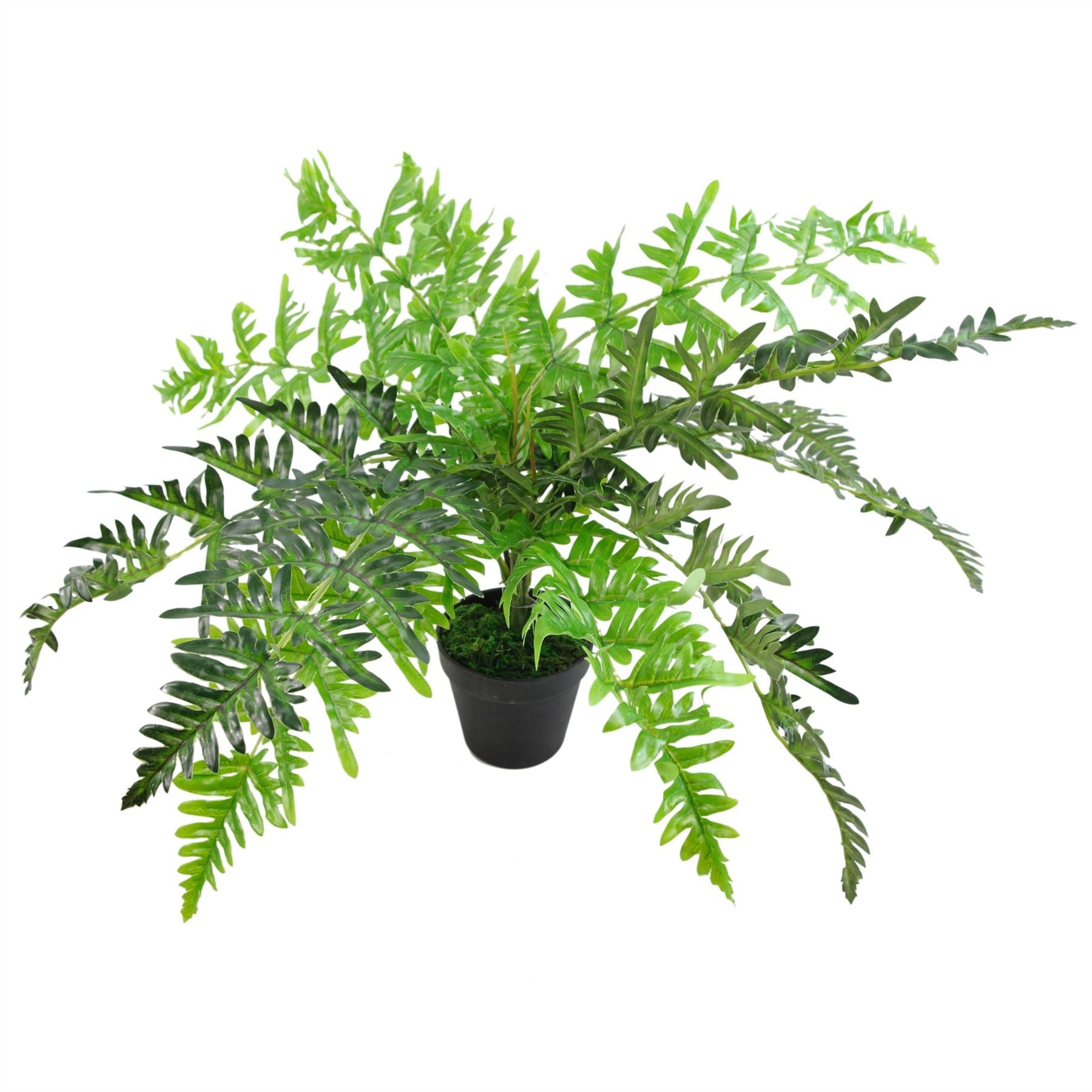 Artificial Fern Plant 50cm