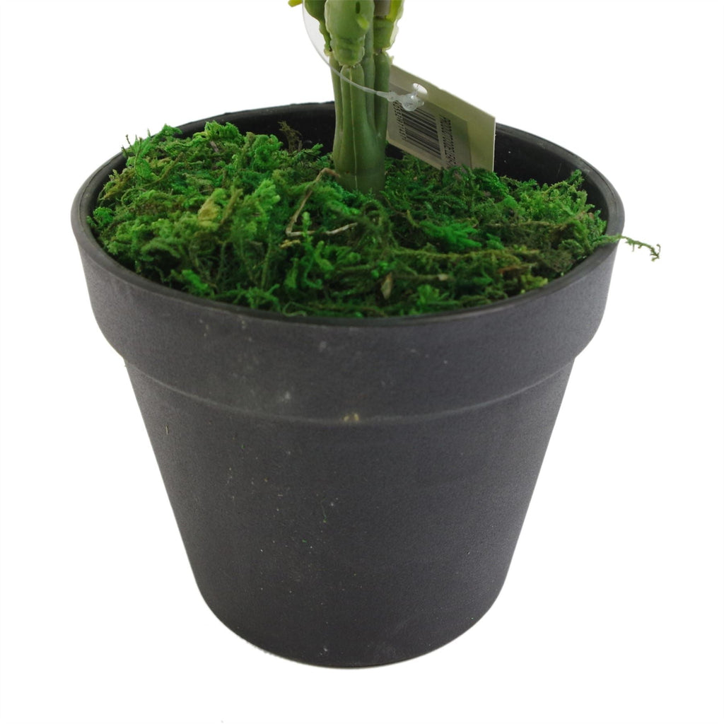 Artificial Fern Plant 50cm