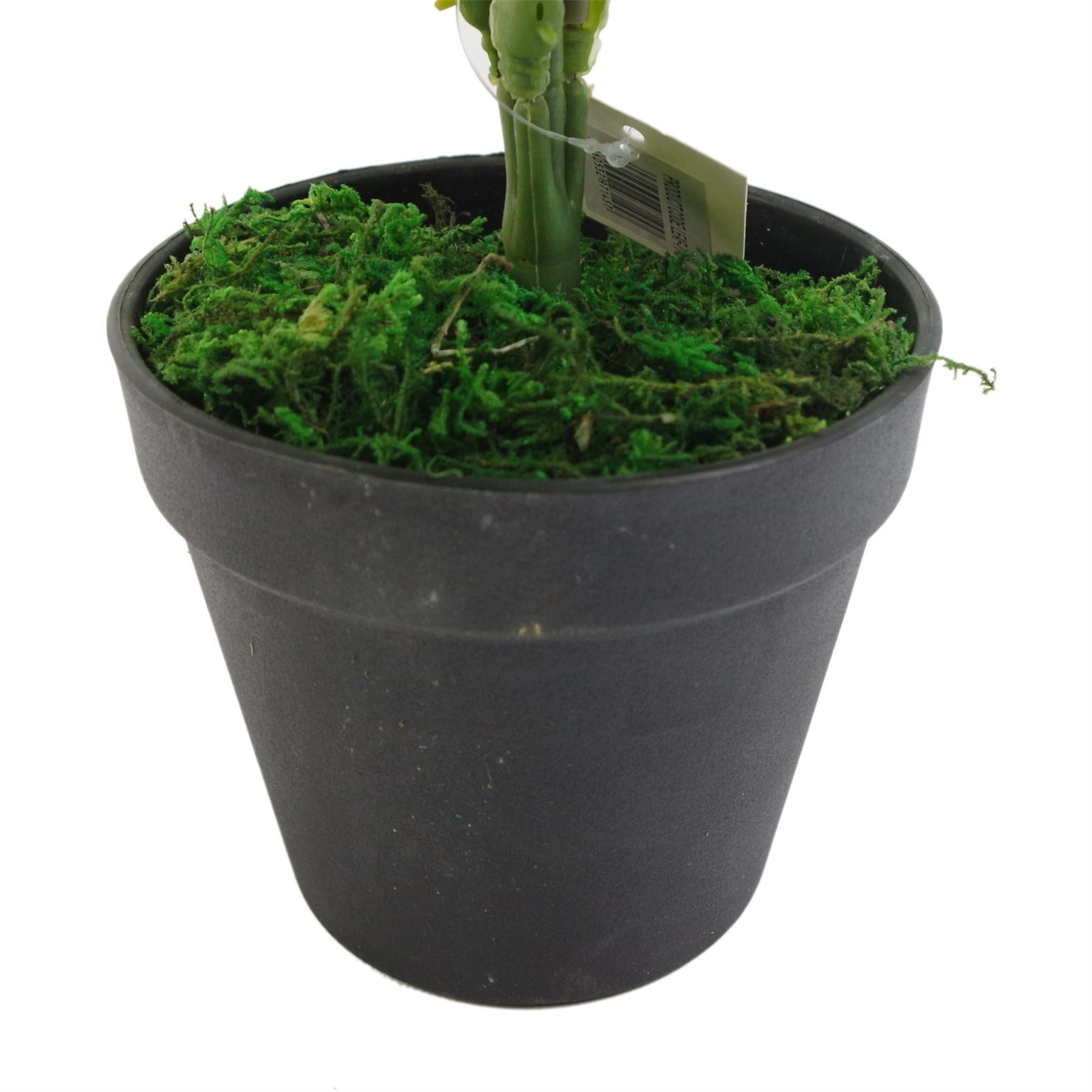 Artificial Fern Plant 50cm