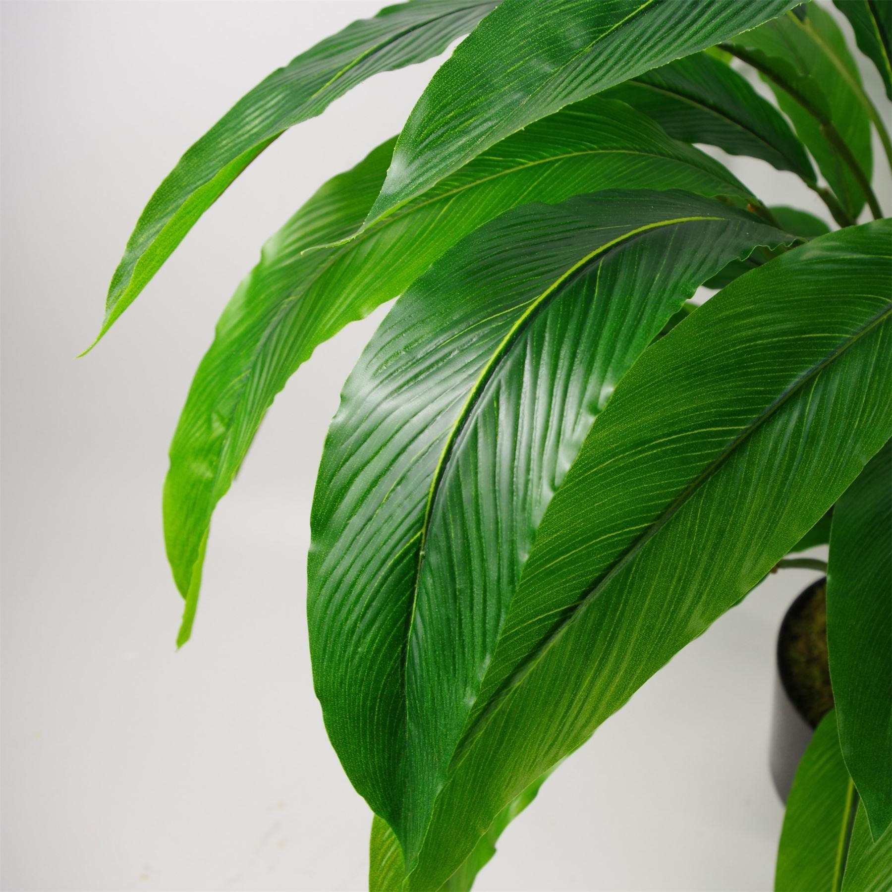 Artificial Calathea Bush Plant 60cm