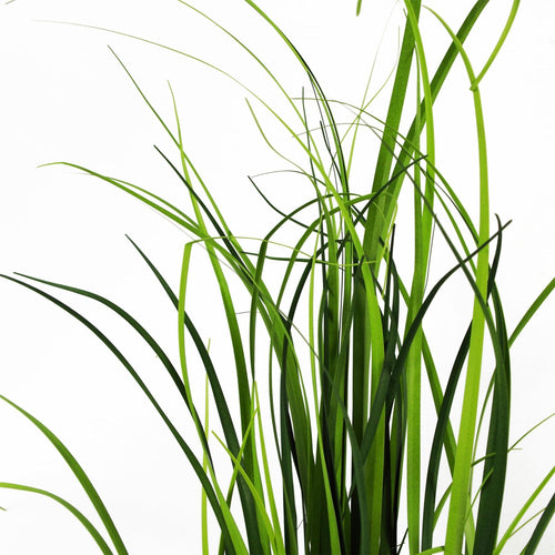 60cm Artificial Lemongrass Grass Plant Plants-1