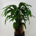 Artificial Calathea Bush Plant 60cm