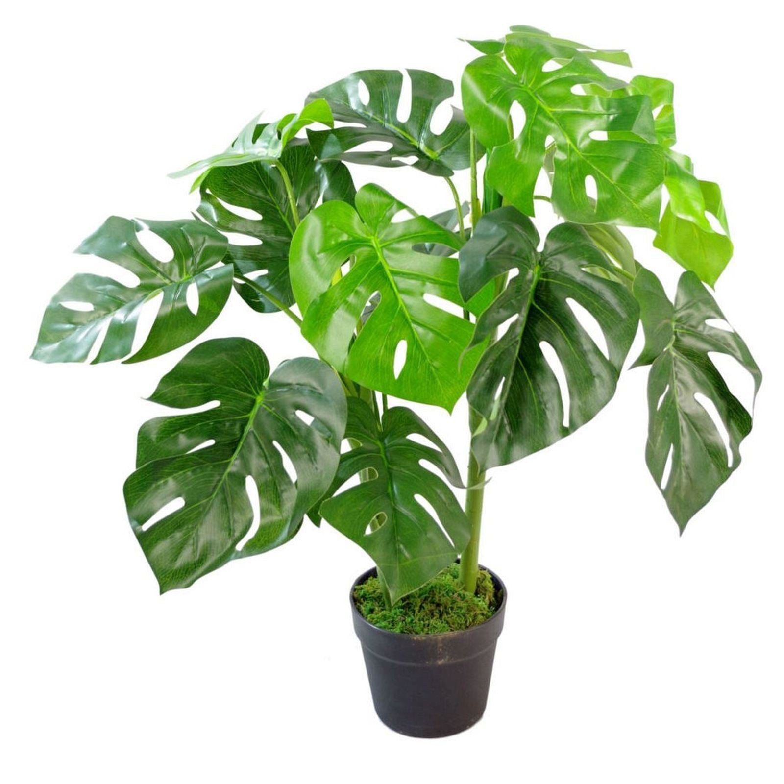 Artificial Monstera Cheese Plant 80cm