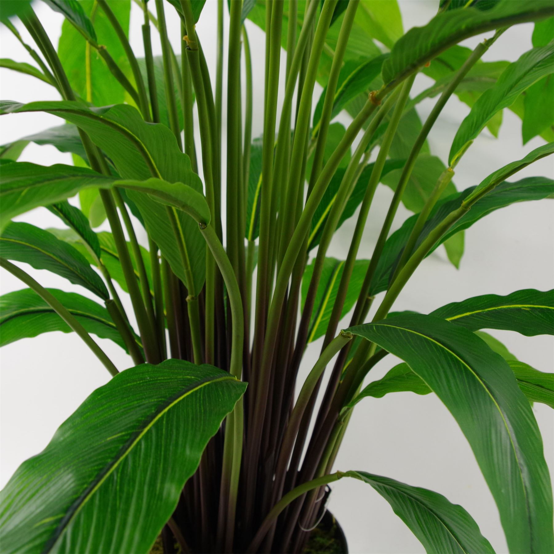 Artificial Calathea Bush Plant 60cm