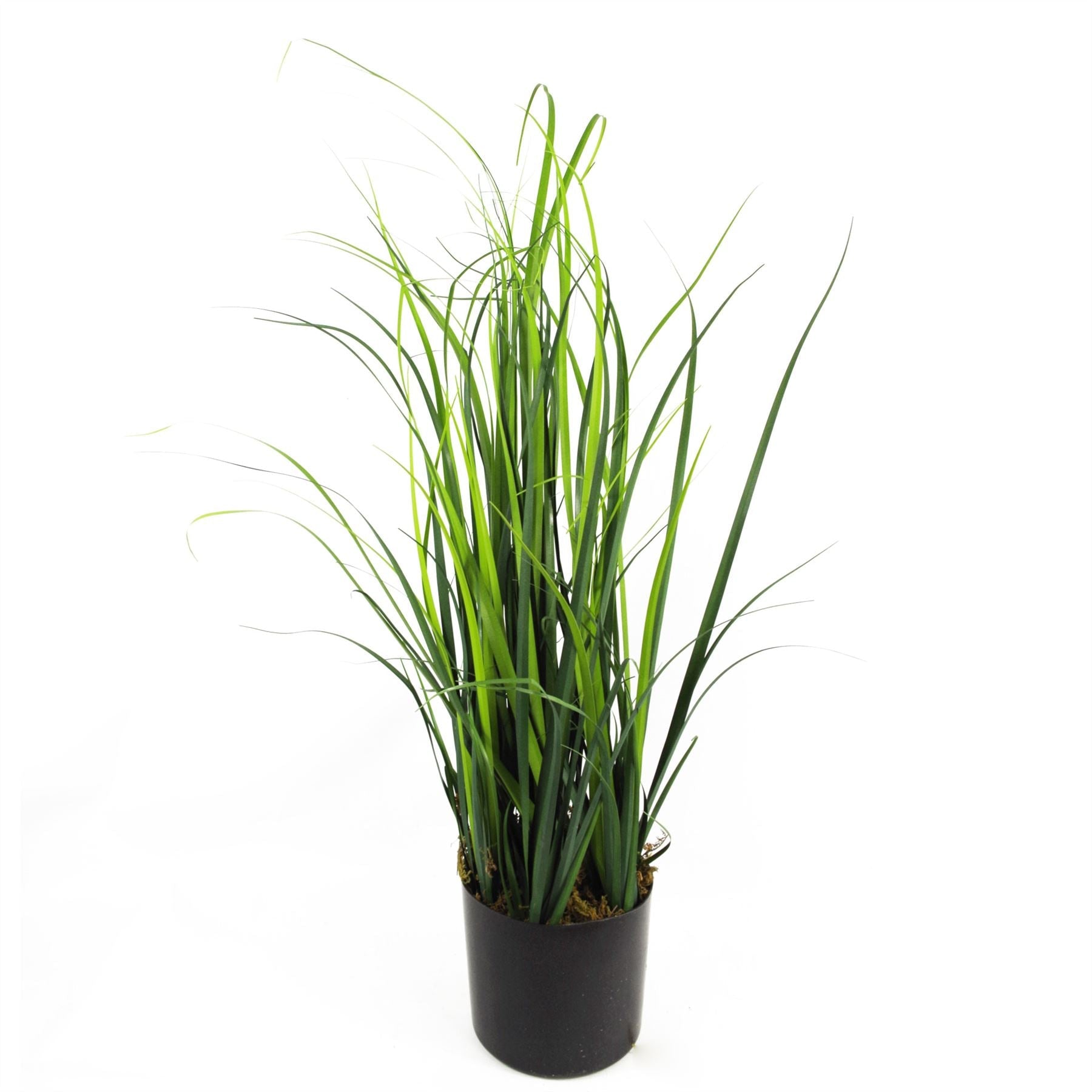 Artificial Lemongrass Plant 60cm