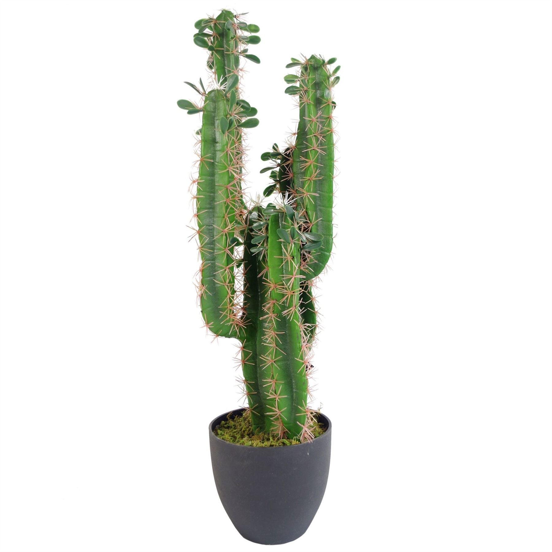 Artificial Cactus Plant 75cm