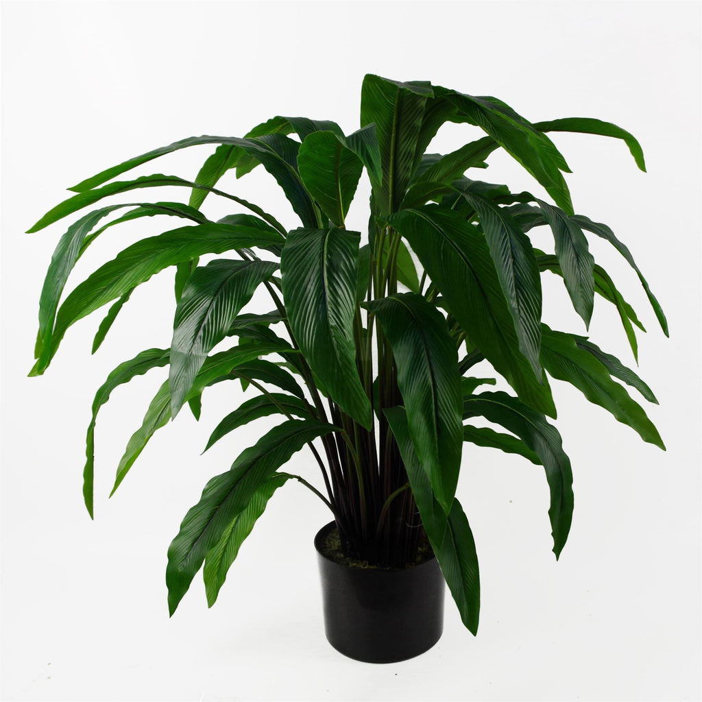 Artificial Calathea Bush Plant 60cm