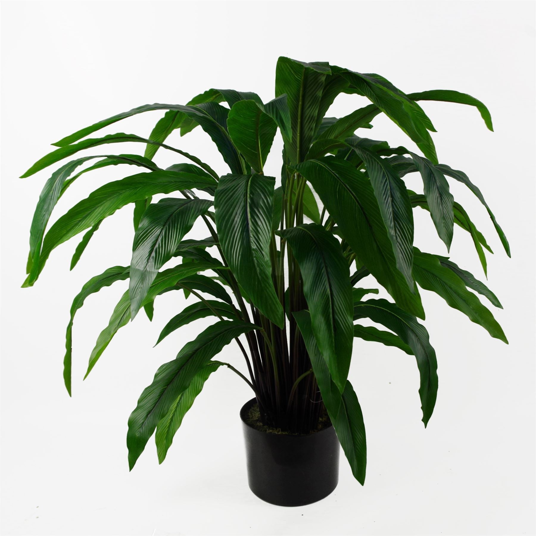 Artificial Calathea Bush Plant 60cm