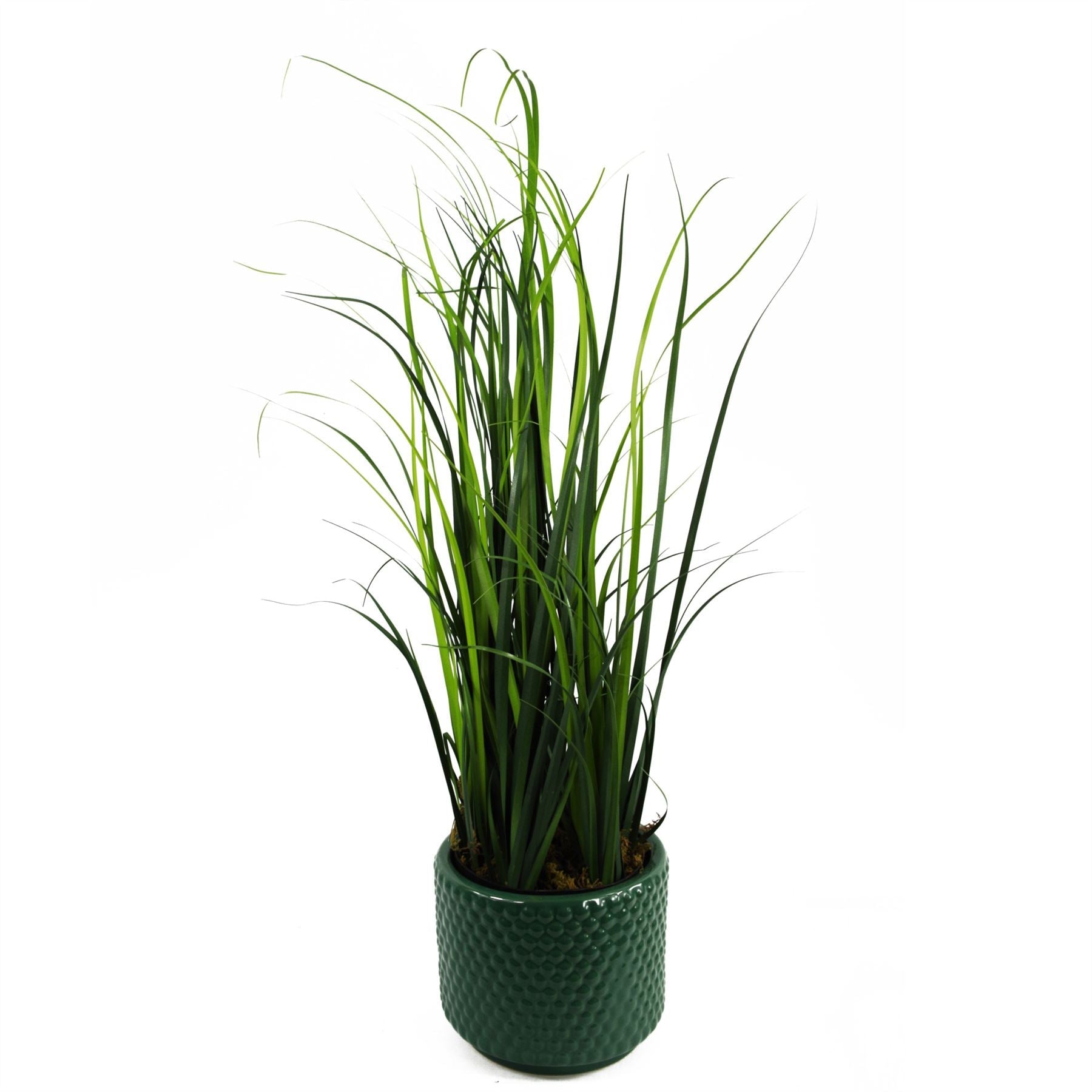 Artificial Lemongrass Plant 60cm
