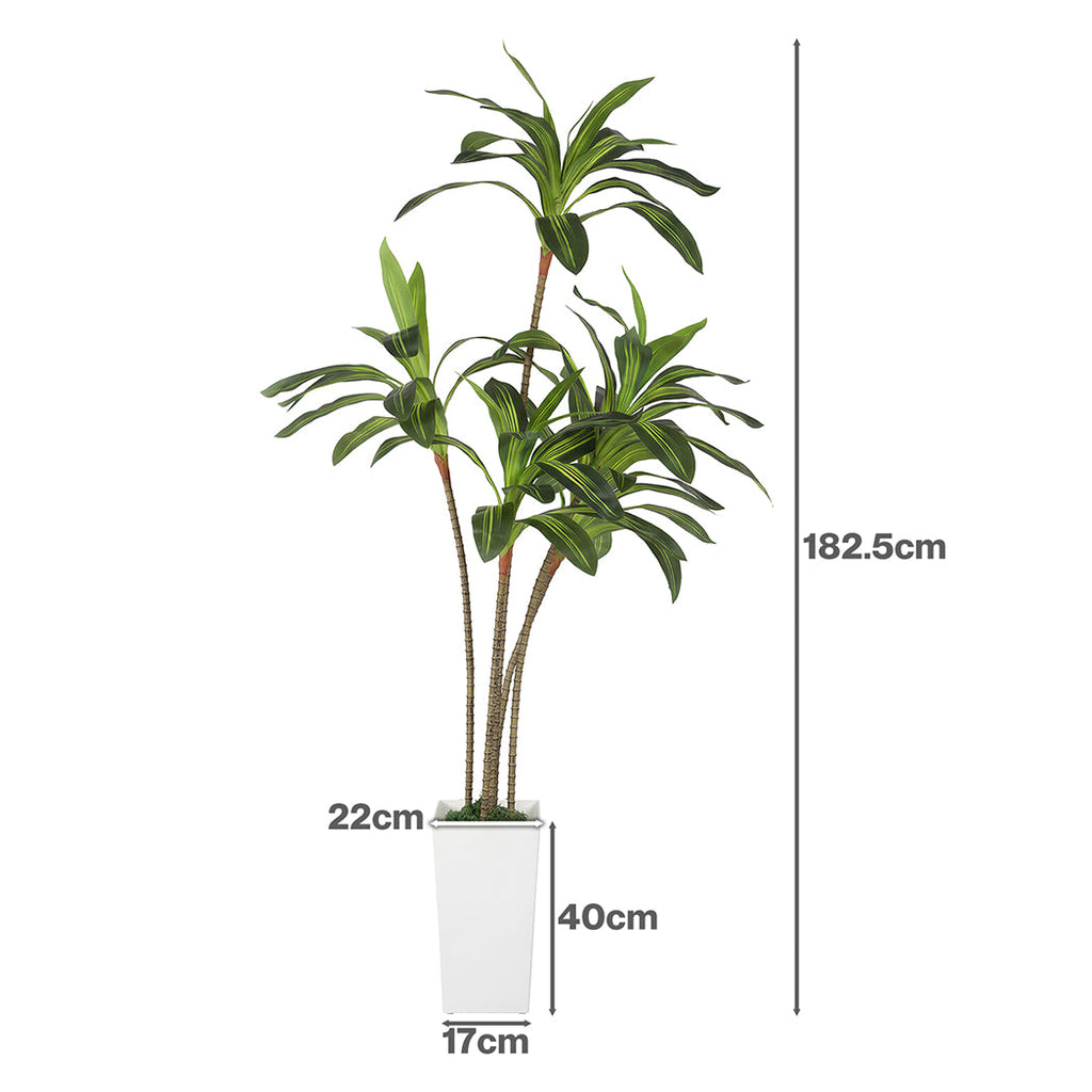 Artificial Dracaena Tree with Lifelike Leaves