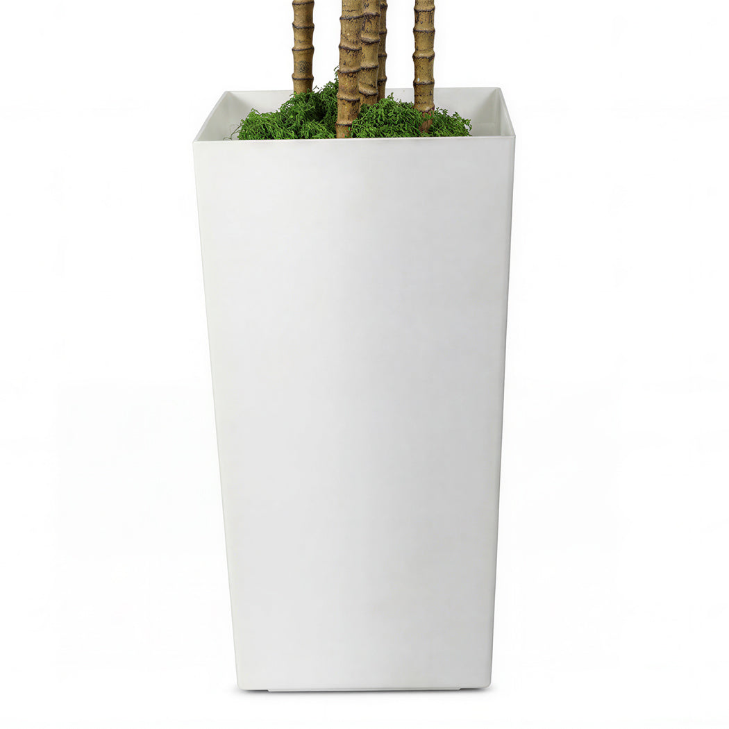 Artificial Dracaena Tree with Lifelike Leaves